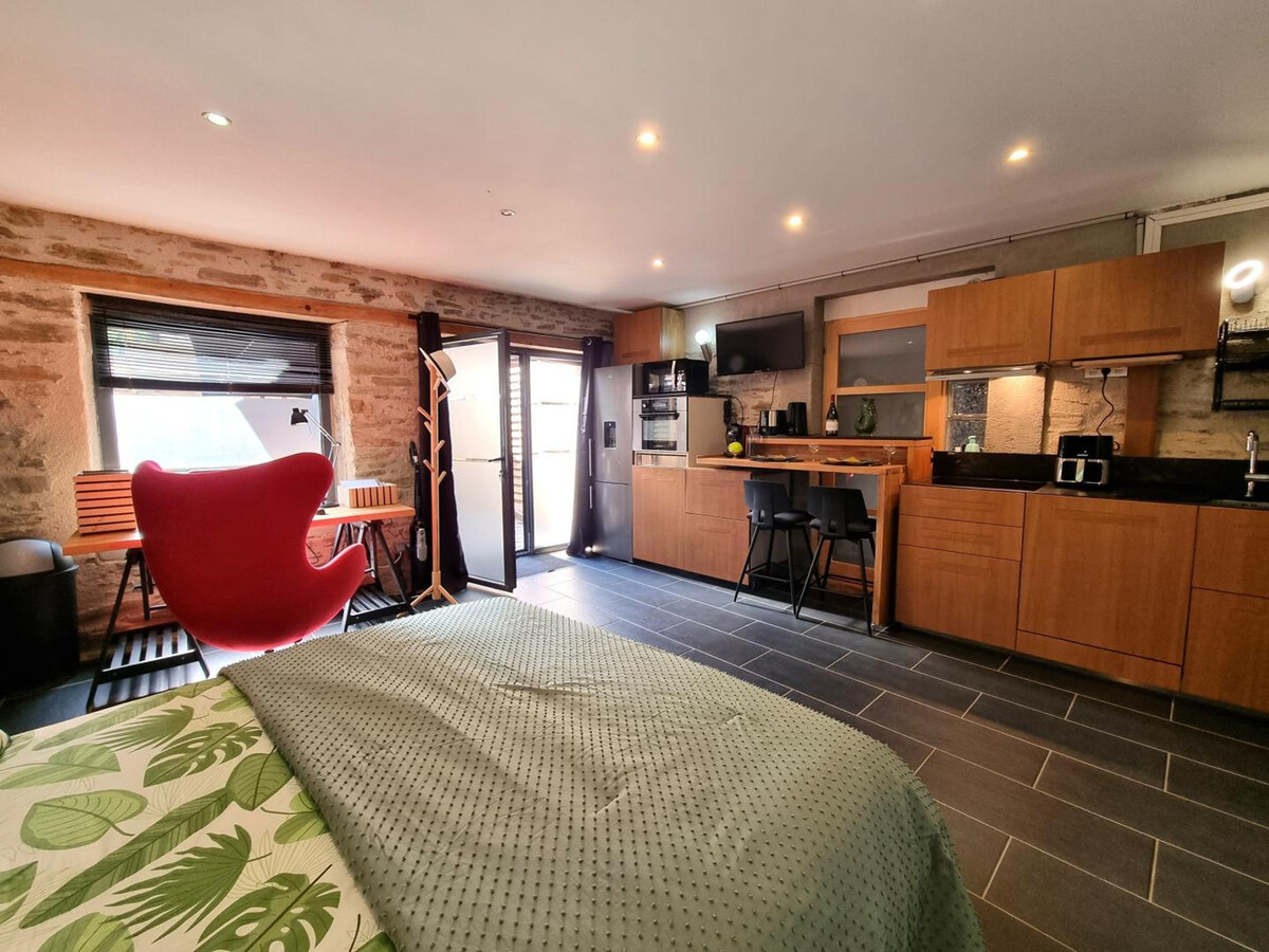 Studio rénové 30 m² avec cour privée à Tartaras - Photo 4