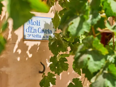 Moli den Cavea – Moulin majorquin restauré près de Cas Concos : photo 14