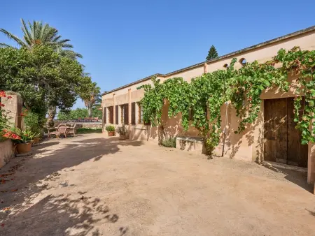 Moli den Cavea – Moulin majorquin restauré près de Cas Concos : photo 18