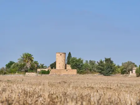 Moli den Cavea – Moulin majorquin restauré près de Cas Concos : photo 23