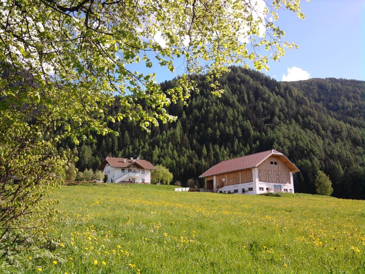Appartement 7 personnes face aux Dolomites à San Lorenzo - Photo 7