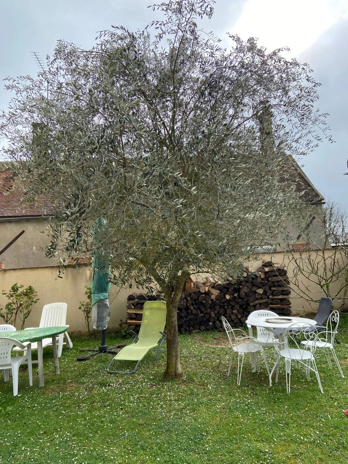 Studio 20 m² avec terrasse privée à Chenou - Photo 8