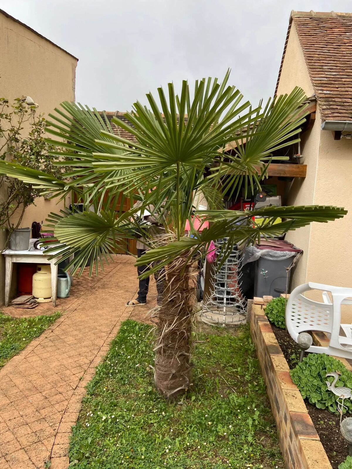 Studio 20 m² avec terrasse privée à Chenou - Photo 9