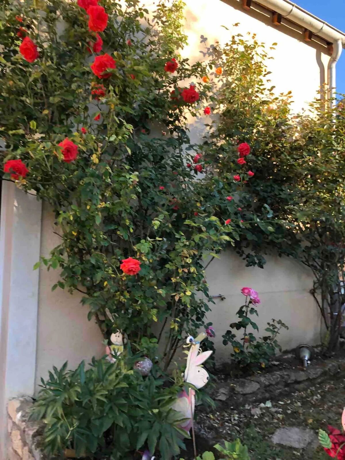 Studio 20 m² avec terrasse privée à Chenou - Photo 13