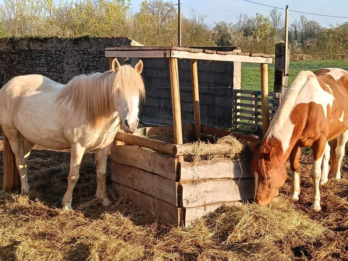 Gîte La Hulotte – Ancienne ferme rénovée, 4 pers. - Photo 27