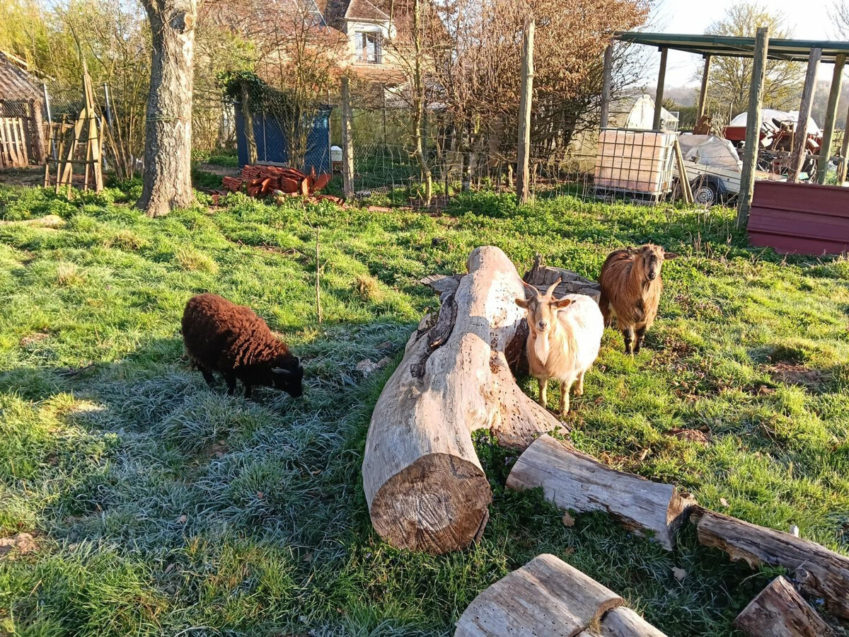 Gîte La Hulotte – Ancienne ferme rénovée, 4 pers. - Photo 28