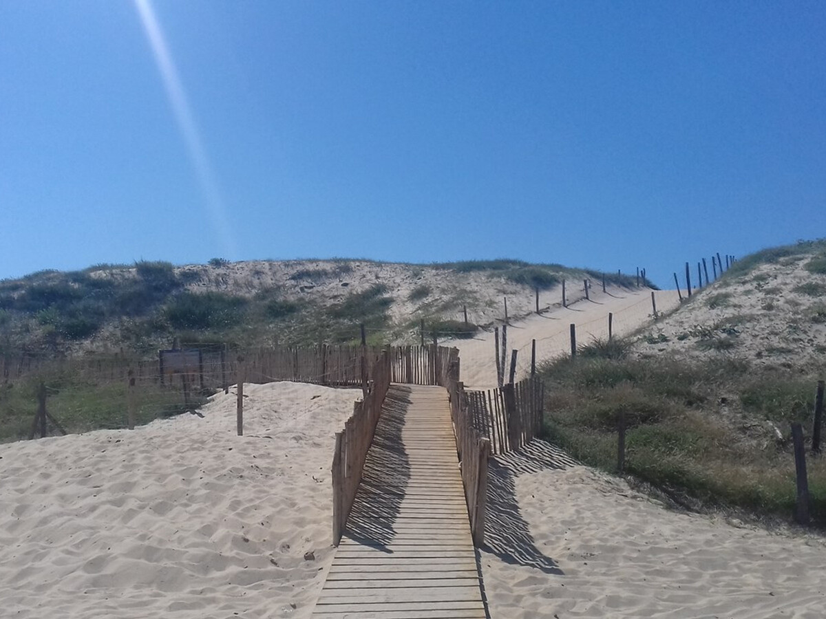 Studio face à la plage de la Gravière, Hossegor - Photo 8