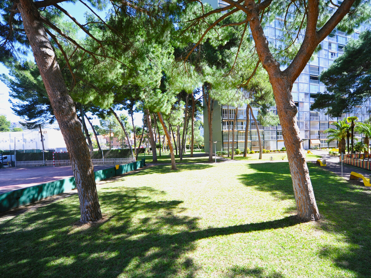 Appartement 3 chambres Benicàssim, 270 m plage - Photo 13