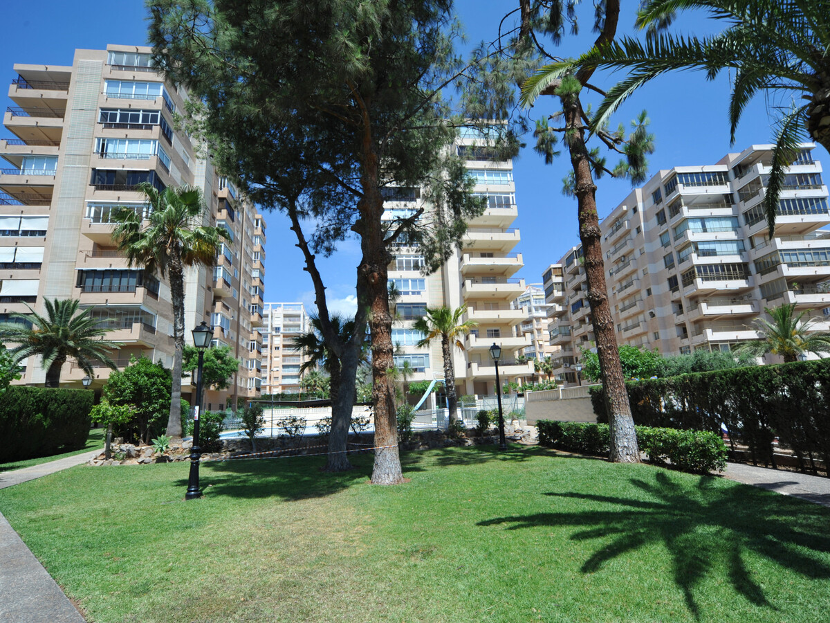 Appartement 1 chambre première ligne de plage à Benicàssim - Photo 15