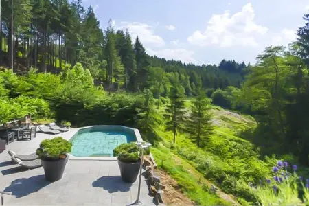 Landhuis la Forêt – Maison 12 pers. avec piscine chauffée : photo 10