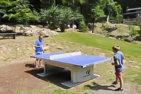 Landhuis la Forêt – Maison 12 pers. avec piscine chauffée : photo 33