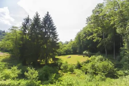 Landhuis la Forêt – Maison 12 pers. avec piscine chauffée : photo 36