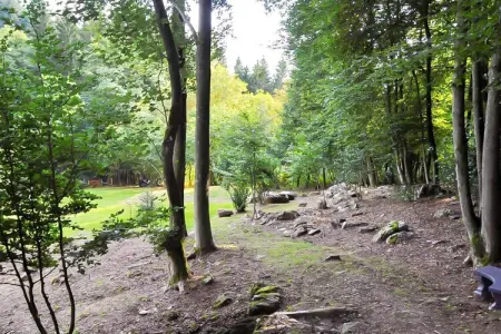 Landhuis la Forêt – Maison 12 pers. avec piscine chauffée : photo 38