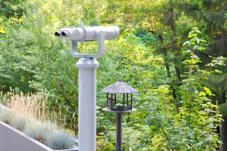 Landhuis la Forêt – Maison 12 pers. avec piscine chauffée : photo 39