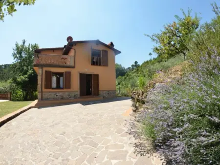 Agli Olivi – Maison 8 pers. avec piscine mosaïque : photo 2