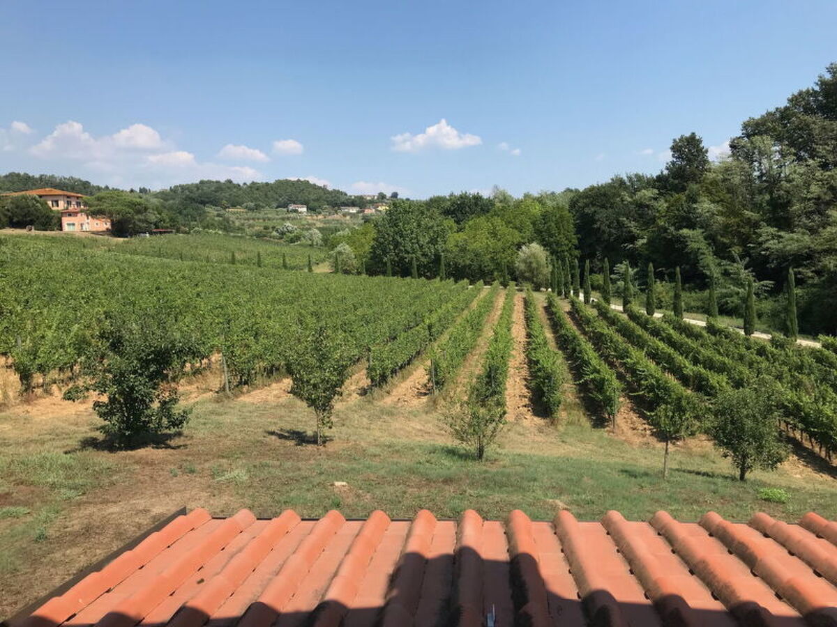 Il Sogno Tra i Vigneti, maison Guamo avec piscine - Photo 2
