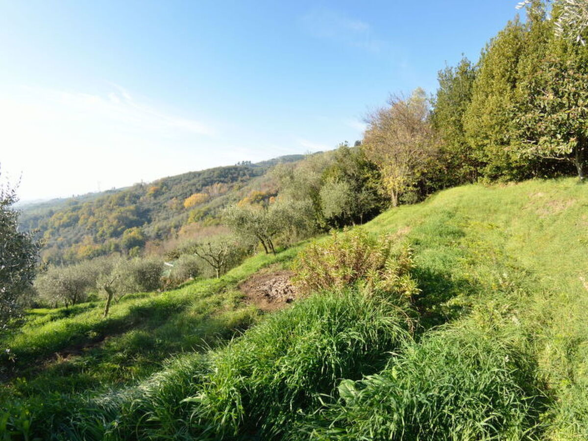 La Cipressa - Maison toscane à San Gennaro, Capannori - Photo 5