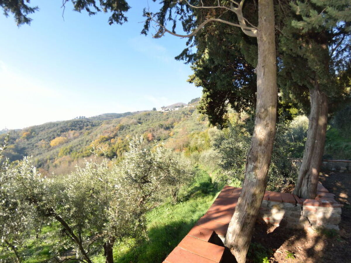 La Cipressa - Maison toscane à San Gennaro, Capannori - Photo 7
