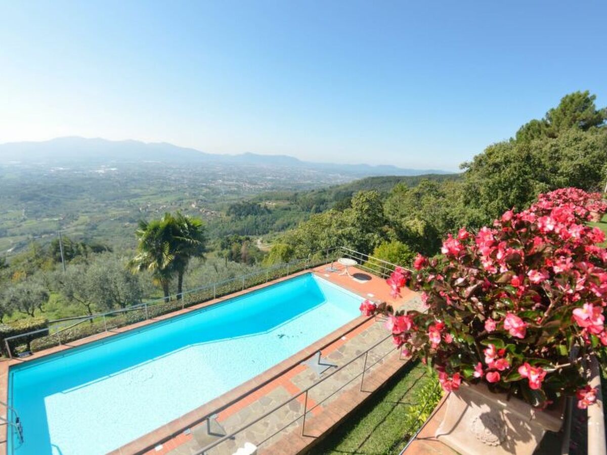 Podere Aida : maison 3 appartements avec piscine à Capannori - Photo 5