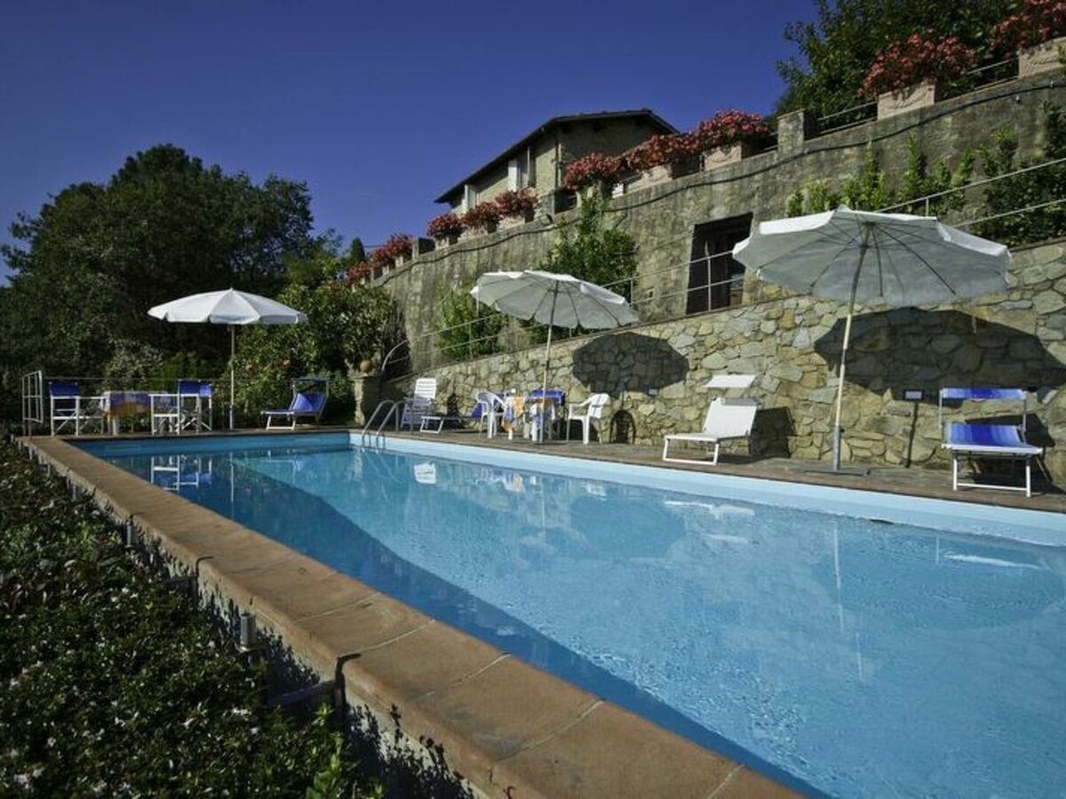 Podere Aida : maison 3 appartements avec piscine à Capannori - Photo 16