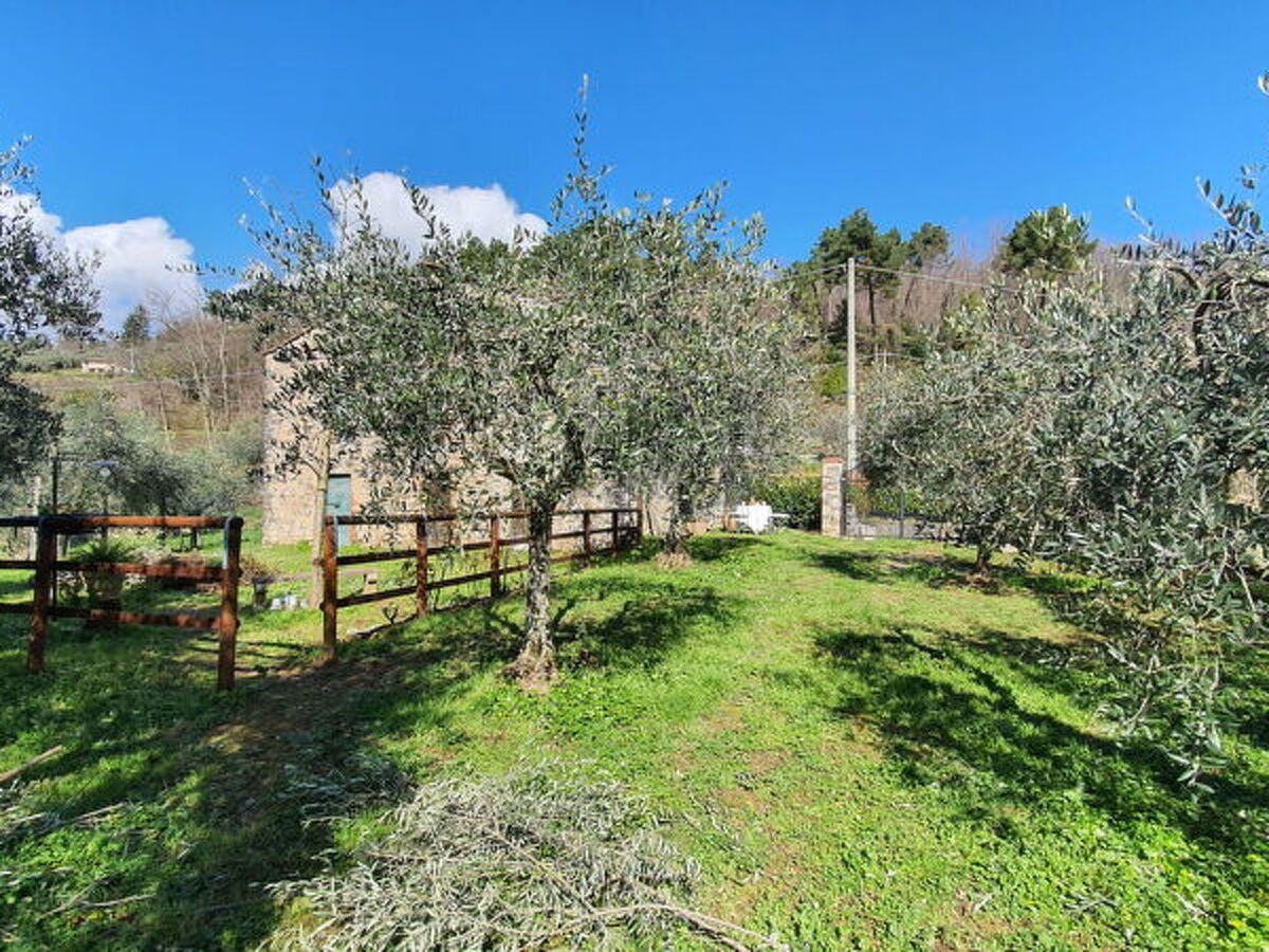 Il Cantuccio Proprietà – Maison 2 chambres à Colognora - Photo 7