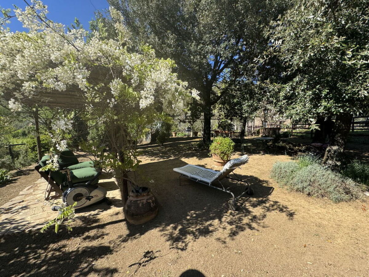 Il Cantuccio Proprietà – Maison 2 chambres à Colognora - Photo 23