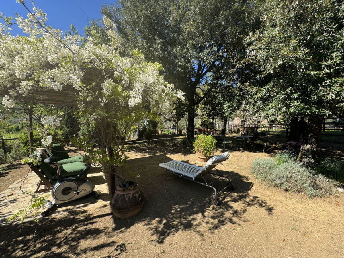 Il Cantuccio Proprietà – Maison 2 chambres à Colognora - Photo 24