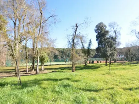 Carnevale, appartement 150 m de la plage à Viareggio : photo 5