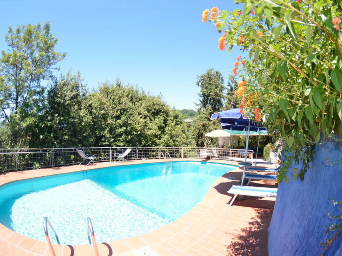 Il Corbezzolo – Villa 8 pers. piscine Massarosa - Photo 4