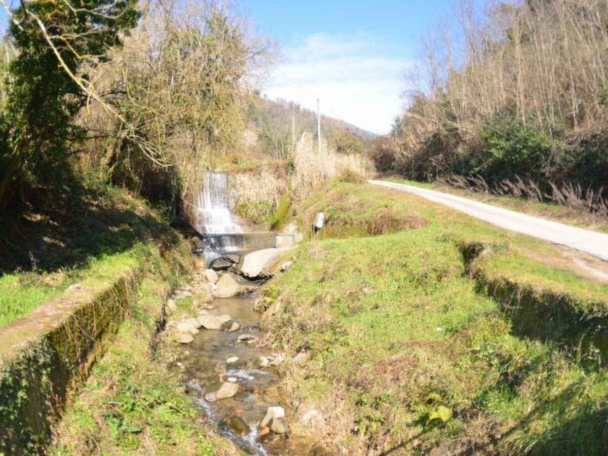 Casa Milena, ancien moulin en Val di Nievole - Photo 22