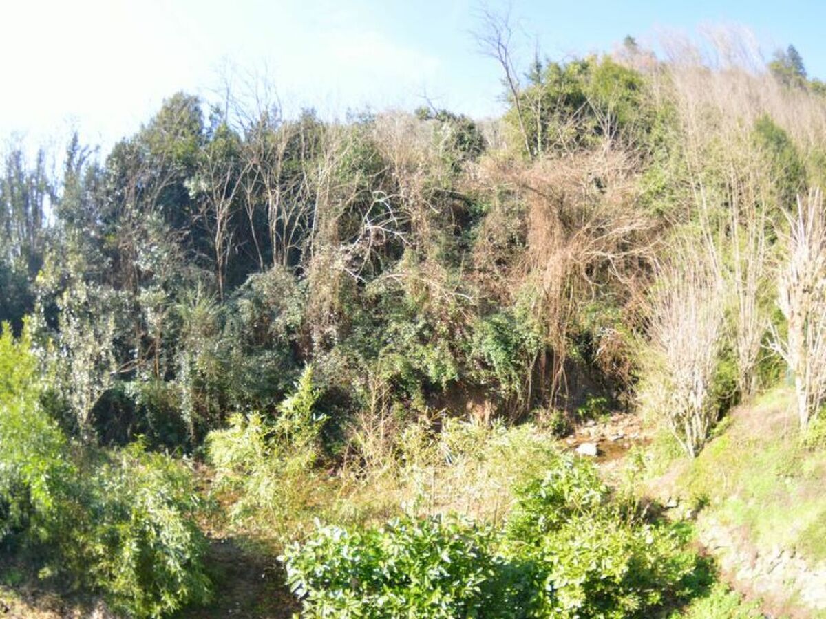 Casa Milena, ancien moulin en Val di Nievole - Photo 48