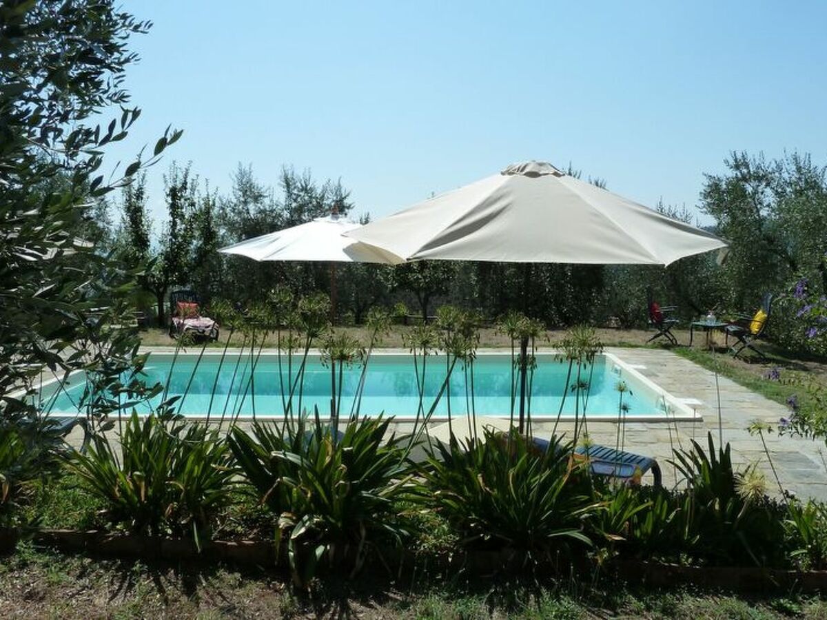 Maison en pierre Borgo a Buggiano, piscine & jardin - Photo 2