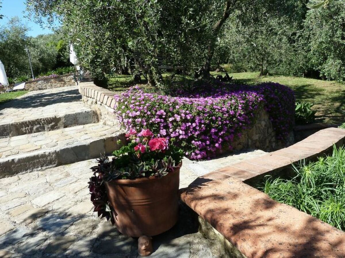 Maison en pierre Borgo a Buggiano, piscine & jardin - Photo 18
