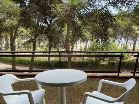 Appartement 4 pers., terrasse, 50 m de la plage : photo 4
