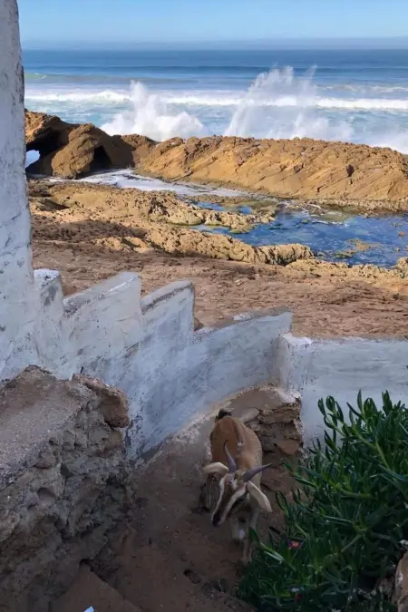 Hütte Fischerhütte avec terrasse à 5 m de la mer, Tamri : photo 8