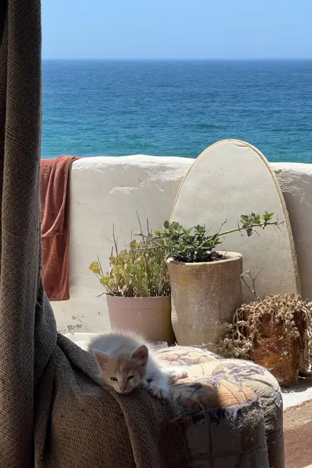 Hütte Fischerhütte avec terrasse à 5 m de la mer, Tamri : photo 11