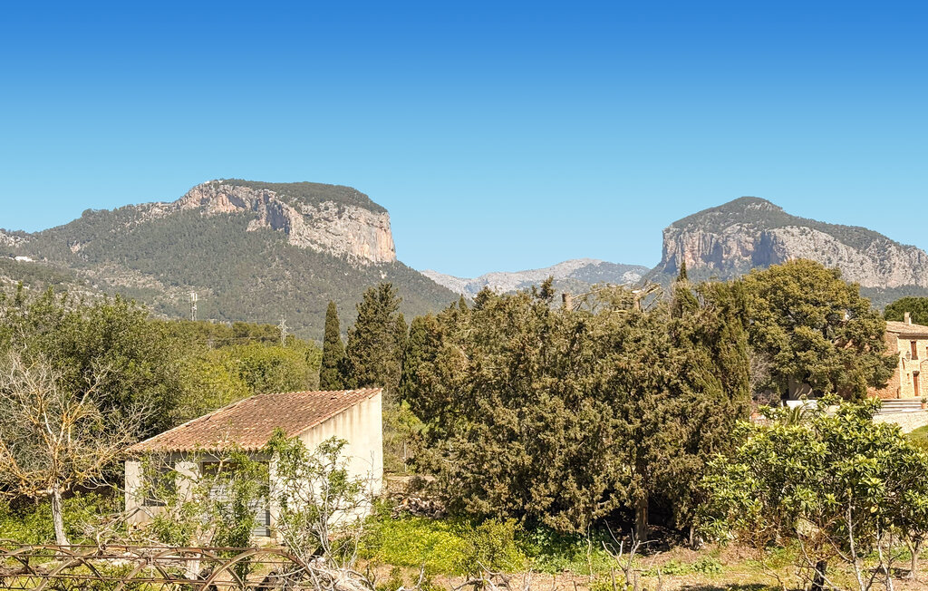 ES FIGUERAL SON RIBAS, Maison 4 personnes à Alaro - Photo 21