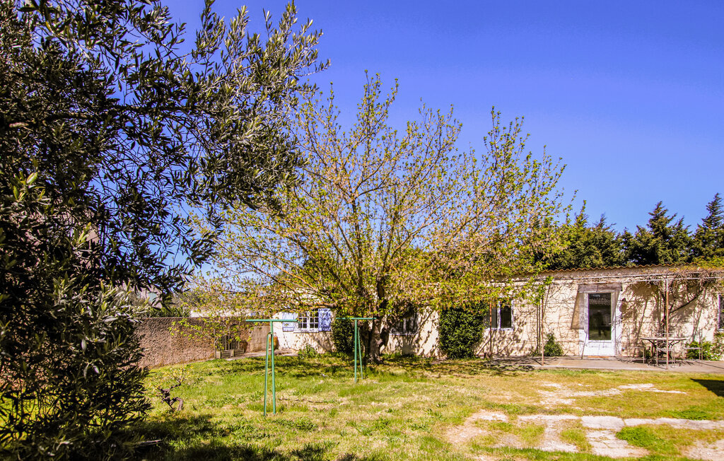 Mazet des Vignes – Maison 5 pers. Courthezon - Photo 2