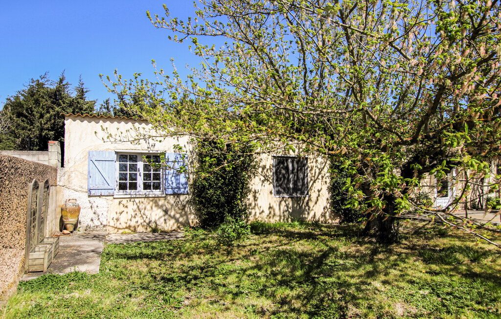 Mazet des Vignes – Maison 5 pers. Courthezon - Photo 7