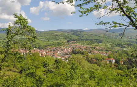 Maison en pierre avec piscine privée à Cavriglia : photo 41