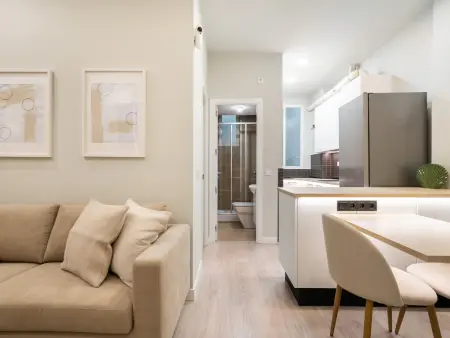 Appartement 40m² climatisé avec ascenseur à Madrid : photo 9