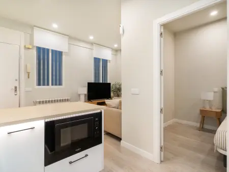 Appartement 40m² climatisé avec ascenseur à Madrid : photo 14