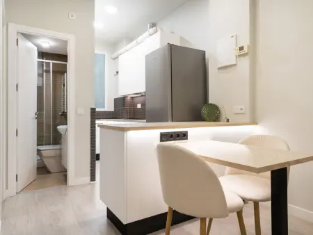 Appartement 40m² climatisé avec ascenseur à Madrid : photo 18