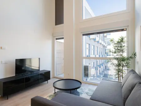Loft industriel avec piscine privée à Madrid : photo 4