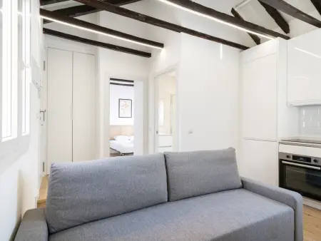 Appartement Madrid 50m² avec terrasse 30m² et clim : photo 3
