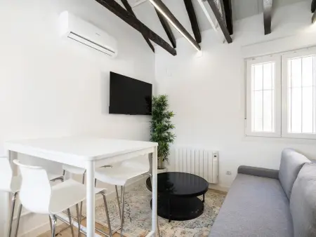 Appartement Madrid 50m² avec terrasse 30m² et clim : photo 4
