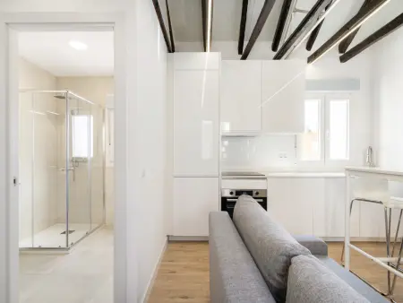 Appartement Madrid 50m² avec terrasse 30m² et clim : photo 5