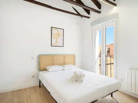 Appartement Madrid 50m² avec terrasse 30m² et clim : photo 6