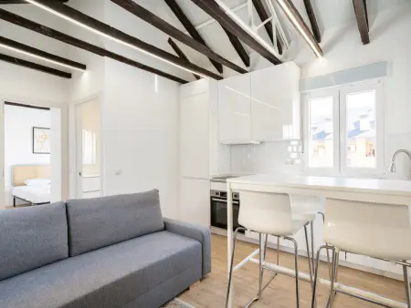 Appartement Madrid 50m² avec terrasse 30m² et clim : photo 7
