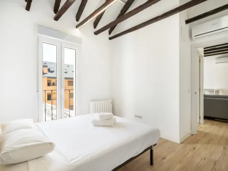 Appartement Madrid 50m² avec terrasse 30m² et clim : photo 9